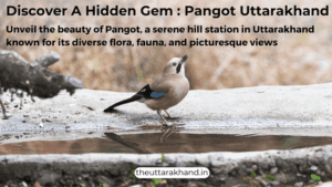 Discover A Hidden Gem : Pangot Uttarakhand