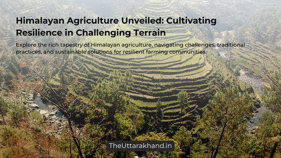 Himalayan Agriculture Unveiled Cultivating Resilience in Challenging Terrain