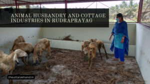 Animal Husbandry and Cottage Industries in Rudraprayag