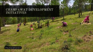 Champawat Development Initiatives
