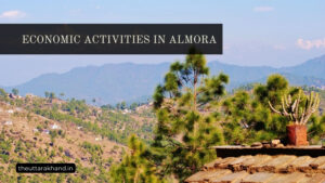 Economic Activities in Almora