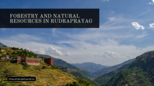 Forestry and Natural Resources in Rudraprayag