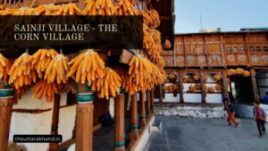Sainji Village - The Corn Village