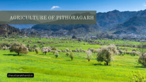 Agriculture of Pithoragarh