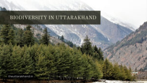 Biodiversity in Uttarakhand