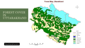 Forest Cover in Uttarakhand