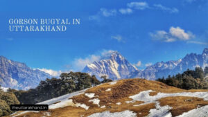 Gorson Bugyal in Uttarakhand