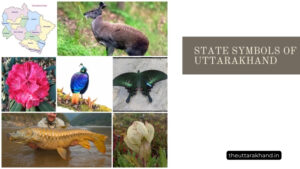 State Symbols of Uttarakhand
