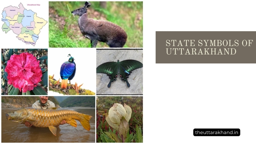 State Symbols of Uttarakhand